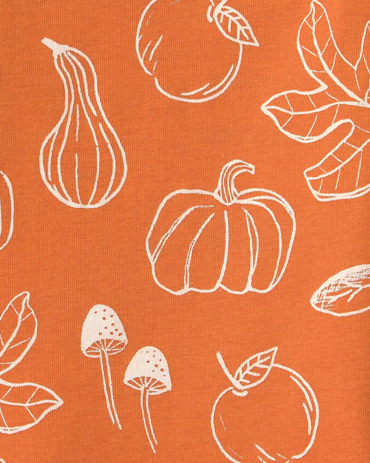 Toddler 2-Piece Organic Cotton Pajamas in Autumn Gourds