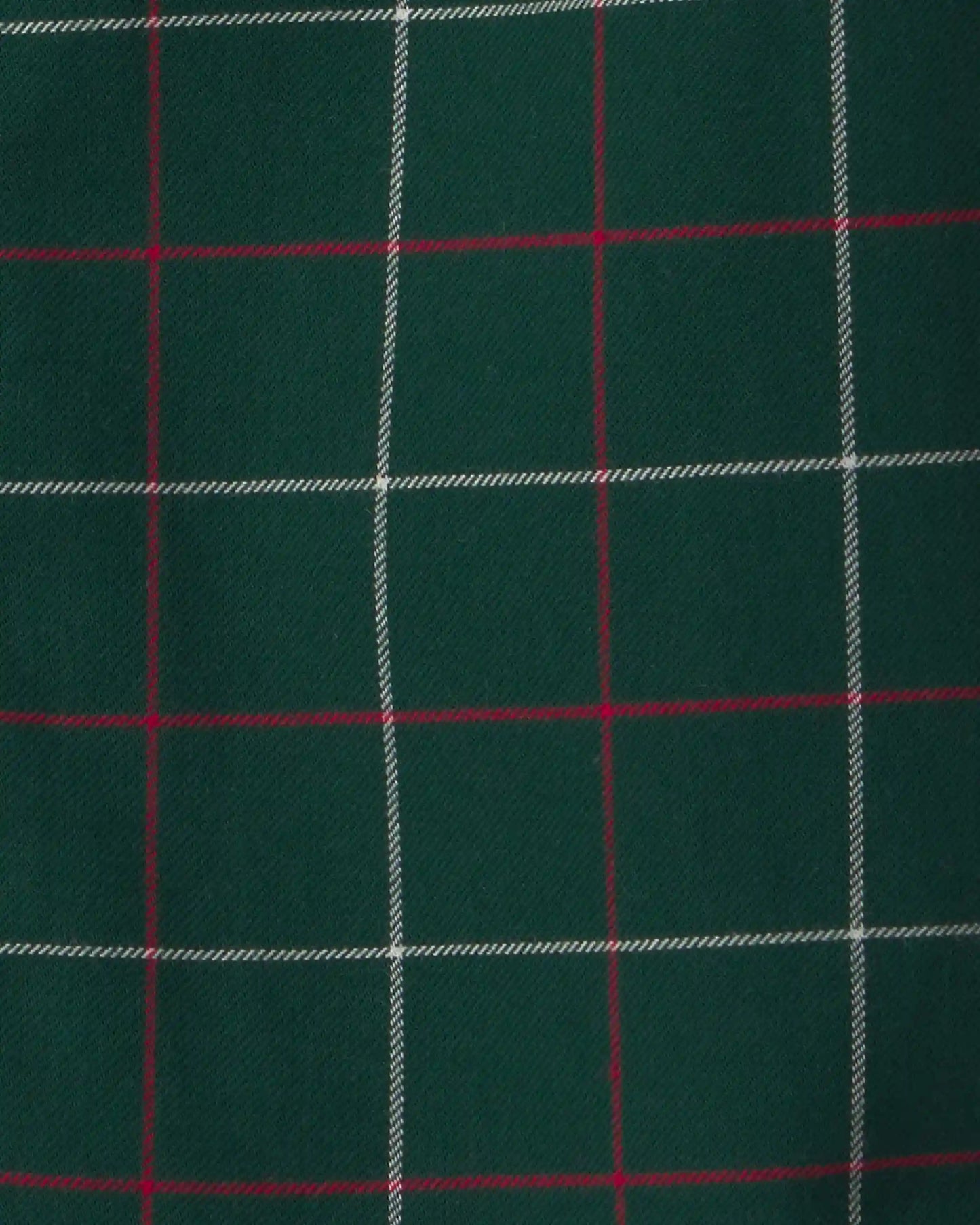 Toddler Boy Plaid Long-Sleeve Button-Down Shirt - Green