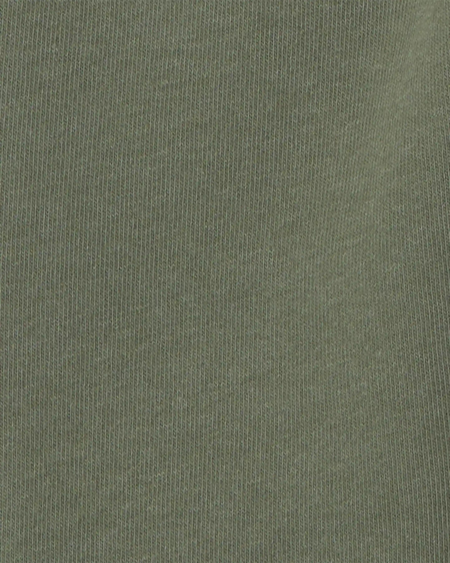 Baby Boy 2-Piece Fox Fleece Top & Pant Set - Grey/Olive Green