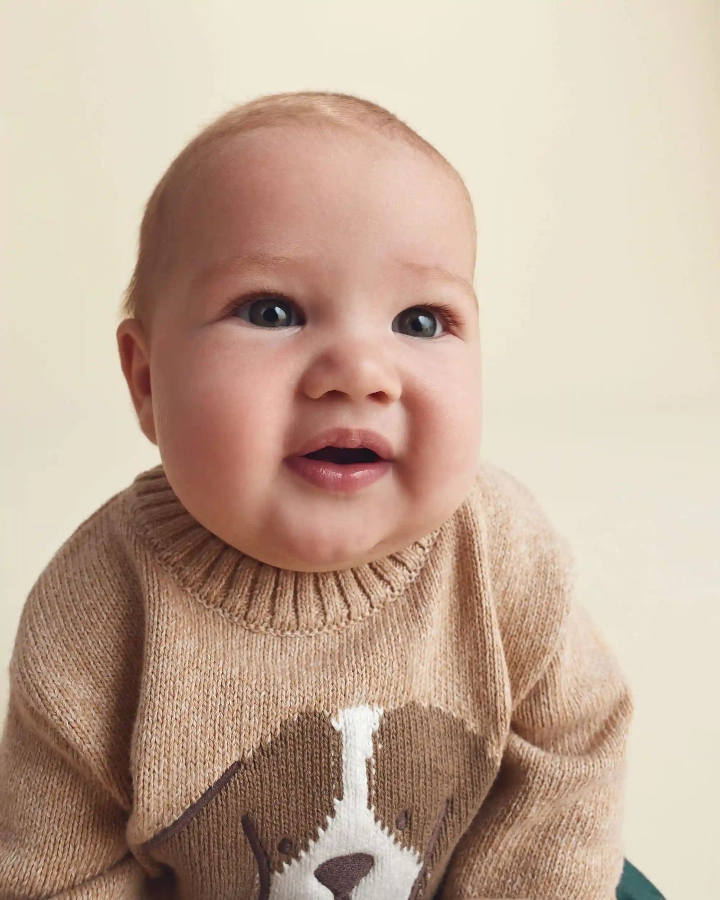 Baby Boy 2-Piece Dog Sweater Top & Pant Set - Brown/Green