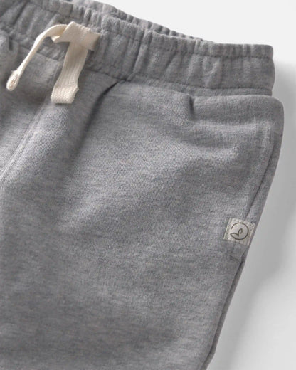 Baby 2-Pack Organic Cotton French Terry Joggers