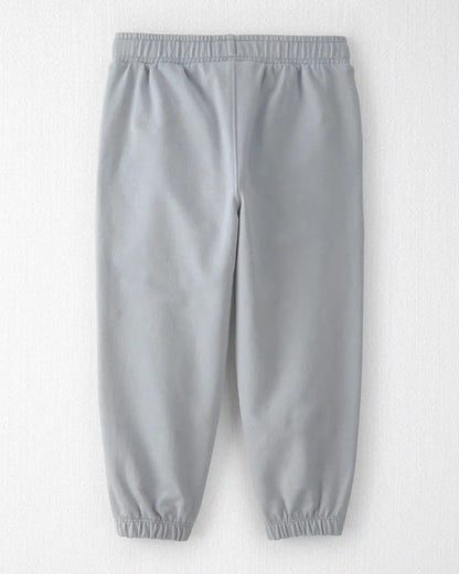Toddler 2-Pack Organic Cotton Pants
