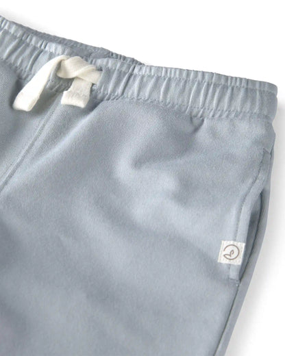 Toddler 2-Pack Organic Cotton Pants
