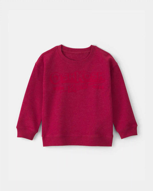 Toddler Boy OshKosh Logo French Terry Pullover Sweatshirt - Red