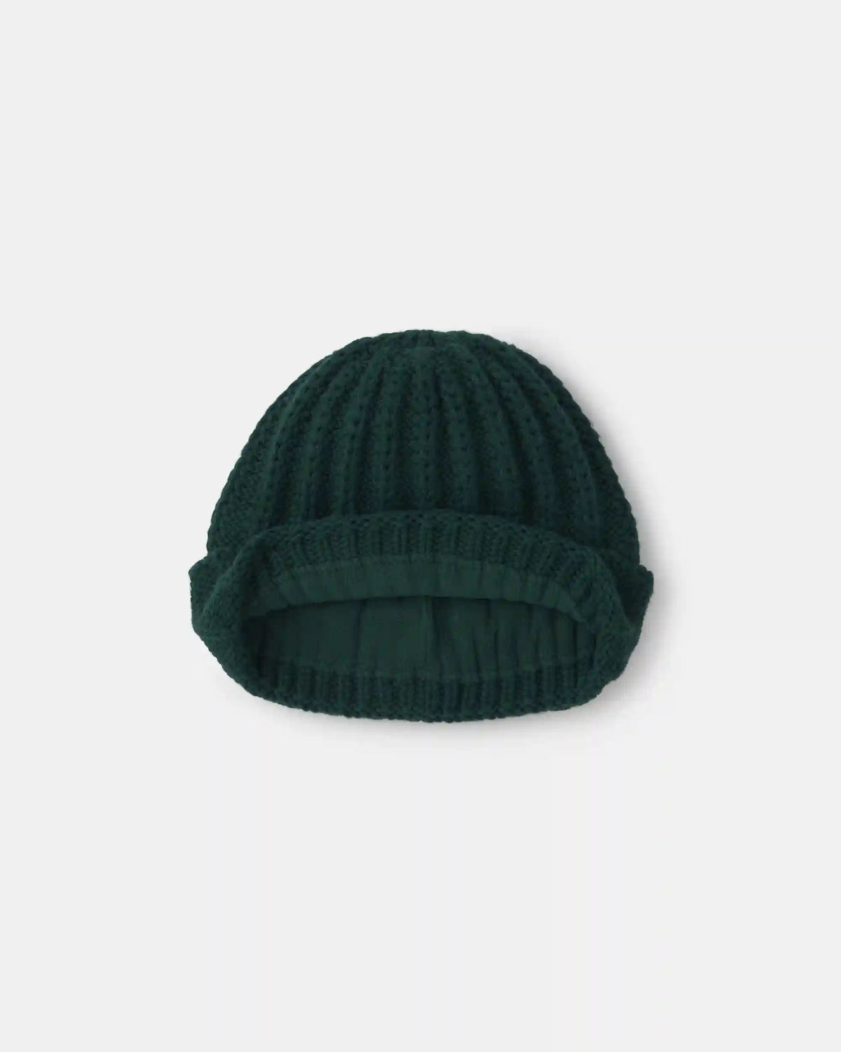 Toddler Boy Ribbed Beanie - Green