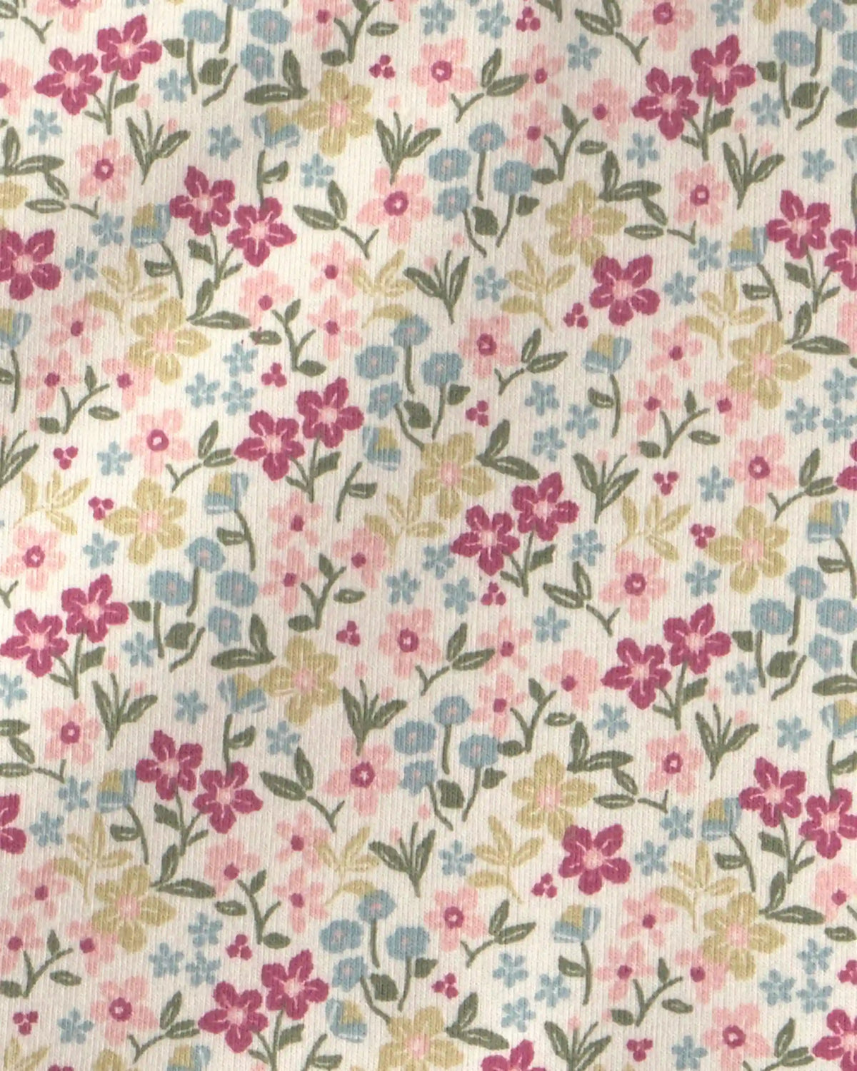 Toddler Girl Organic Cotton French Terry Dress in Floral