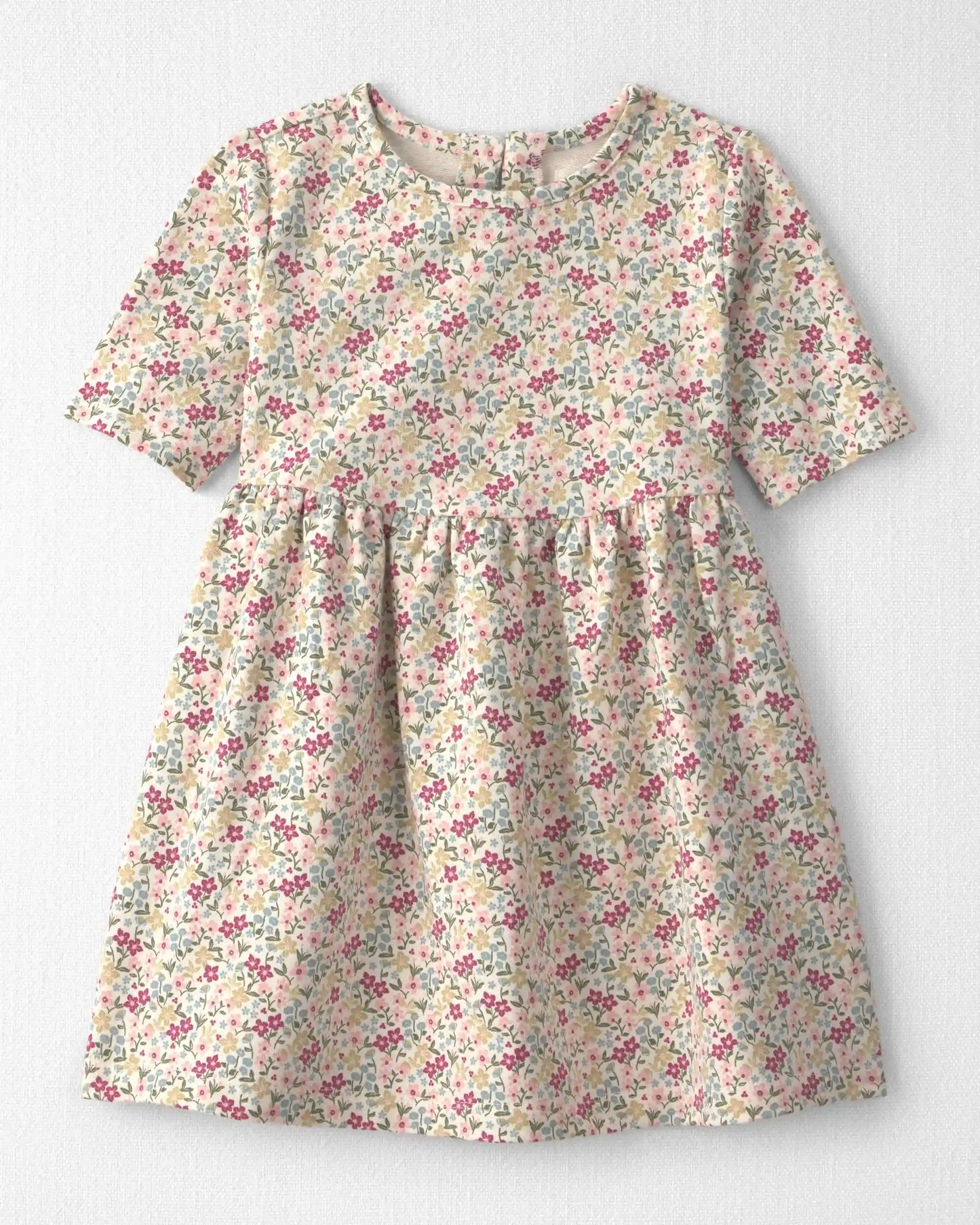 Toddler Girl Organic Cotton French Terry Dress in Floral