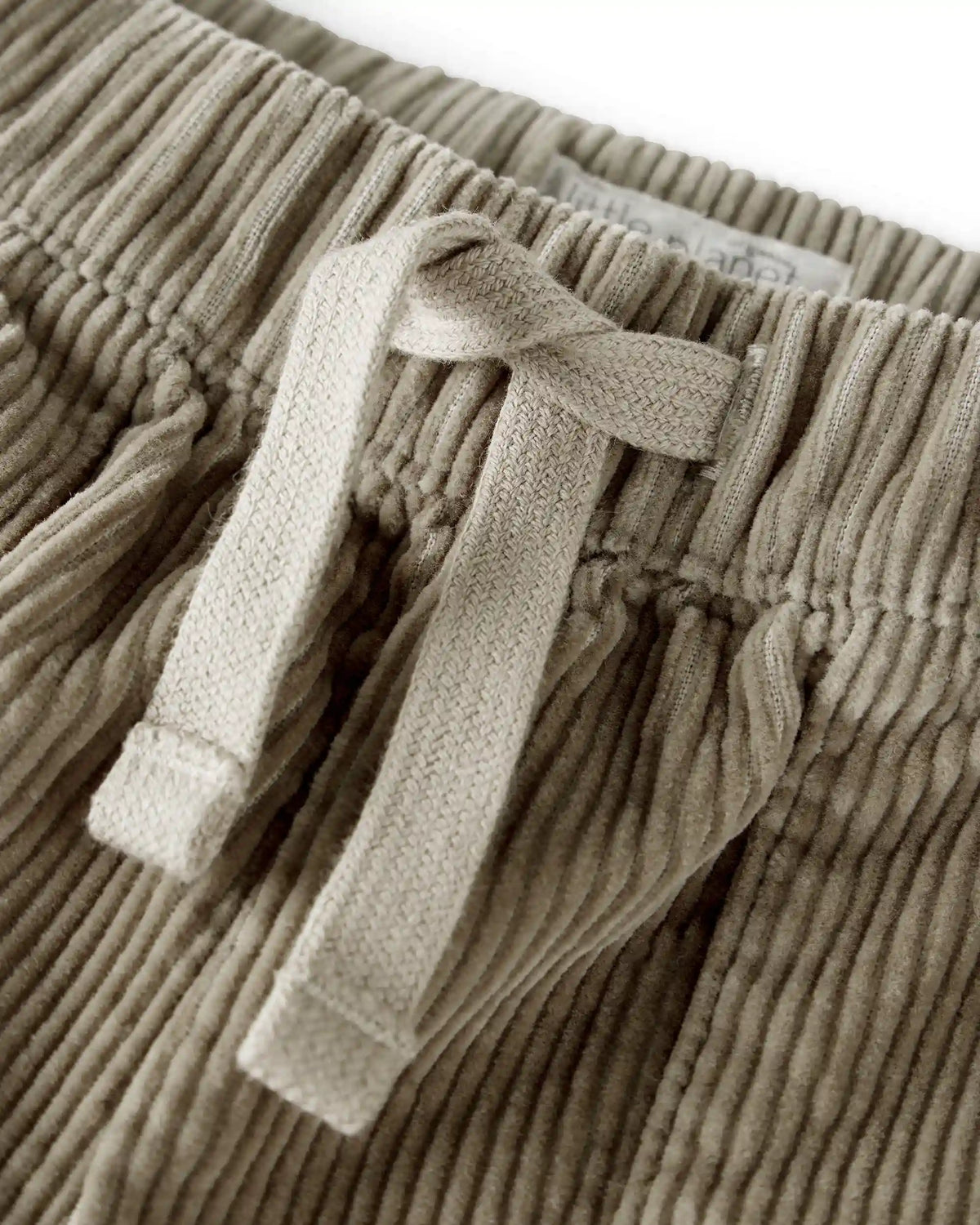Toddler Boy Organic Cotton Corduroy Pants