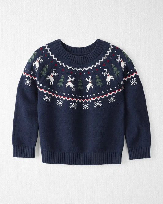 Toddler Organic Cotton Fair Isle Sweater Knit Pullover