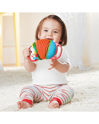 Explore & More Hedgehog Accordion Toy