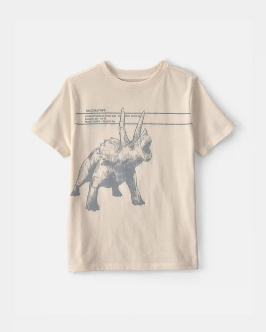 Boys Triceratops Dinosaur Graphic Tee - Cream