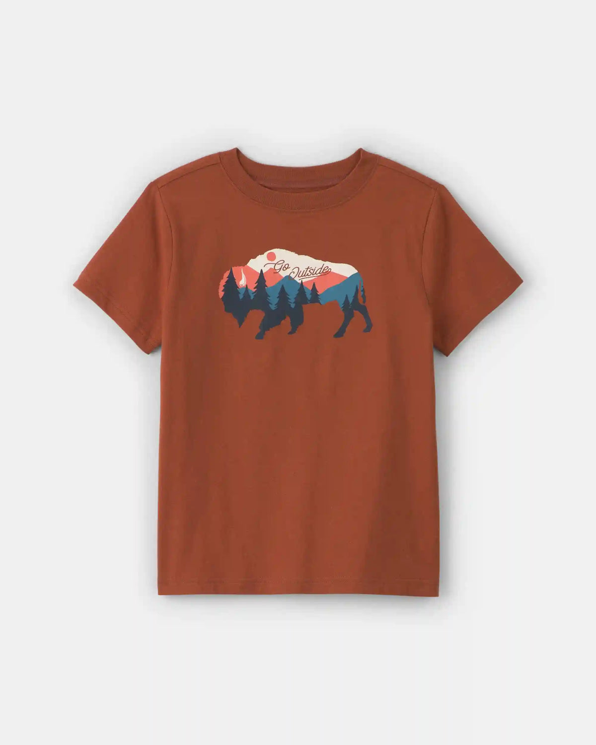 Boys Buffalo Mountain Graphic Tee - Brown