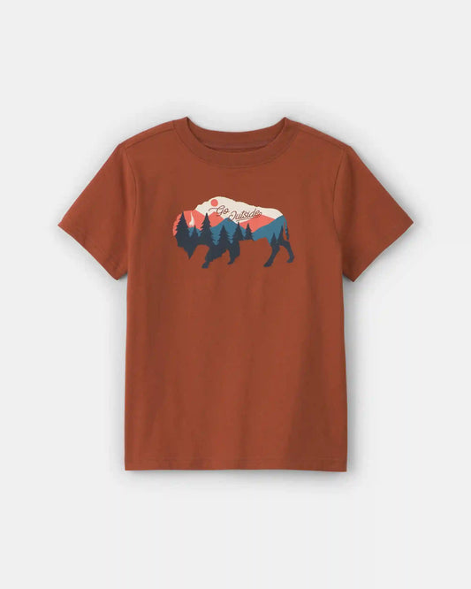 Boys Buffalo Mountain Graphic Tee - Brown