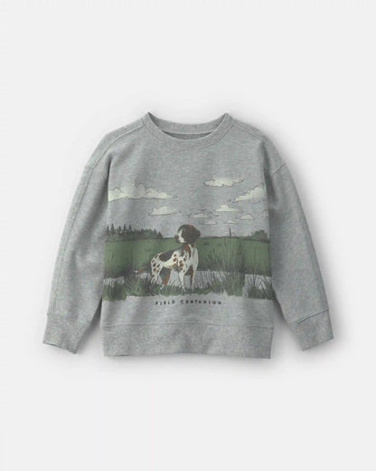 Boys 'Field Companion' Dog French Terry Pullover Sweatshirt - Grey