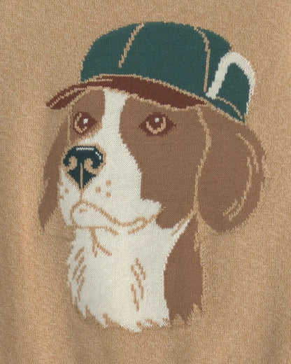 Boys Dog Sweater - Brown