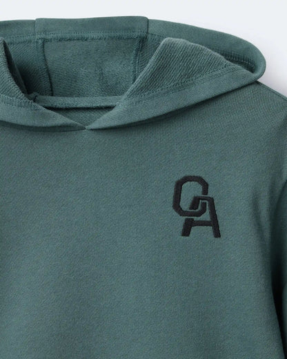 Toddler Girl Long-Sleeve Hooded Sweatshirt Dress - Green