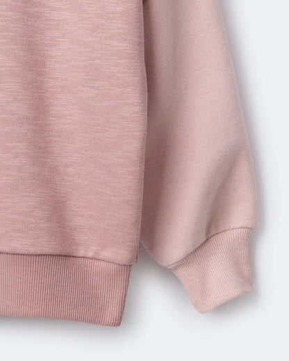 Toddler Girl Colorblock Dolman-Sleeve Sweatshirt - Mauve