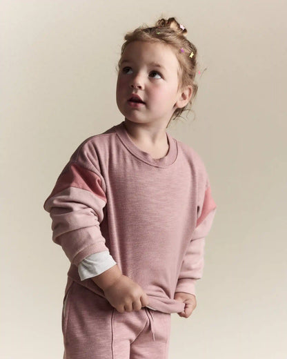 Toddler Girl Colorblock Dolman-Sleeve Sweatshirt - Mauve