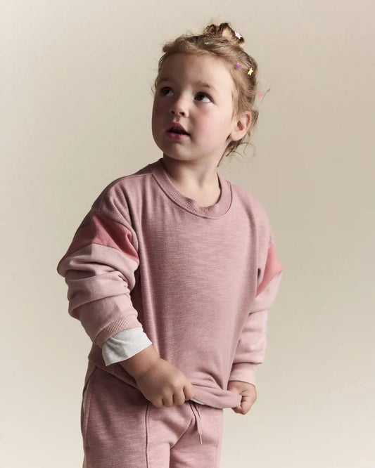 Toddler Girl Colorblock Dolman-Sleeve Sweatshirt - Mauve