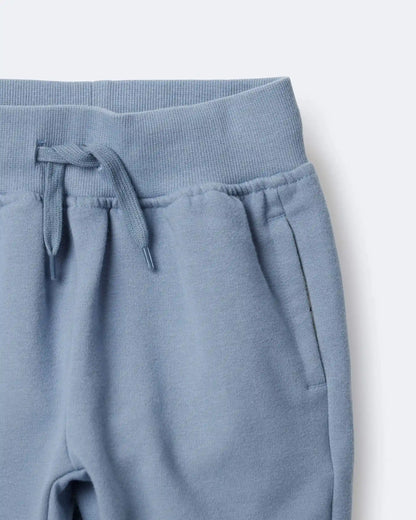 Toddler City Park™ Jogger Pant - Blue