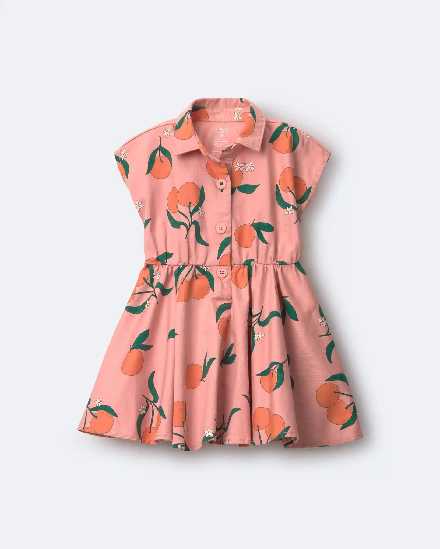 Toddler Girl Avenue Twirl™ Dress in Clementine Grove Print - Light Pink