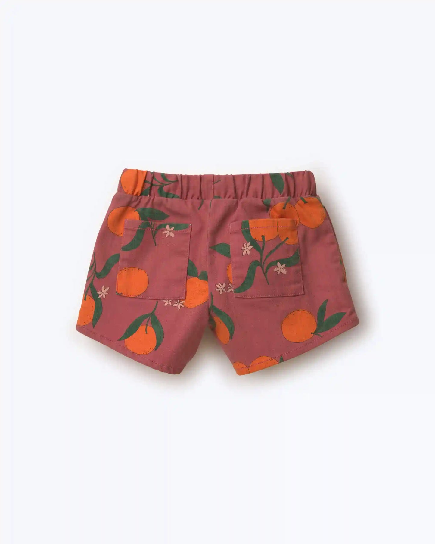 Toddler Girl A-Line Shorts in Clementine Grove Print - Rose