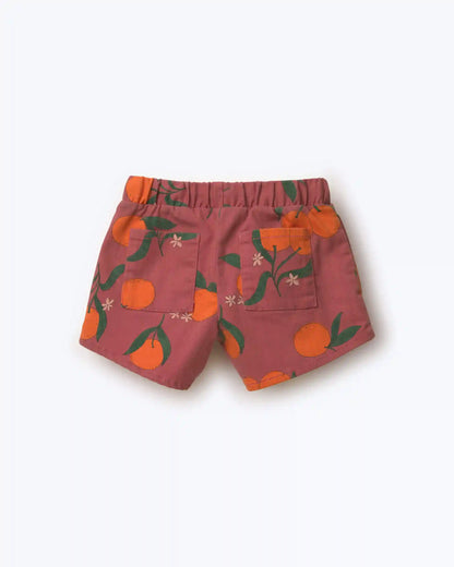 Toddler Girl A-Line Shorts in Clementine Grove Print - Rose