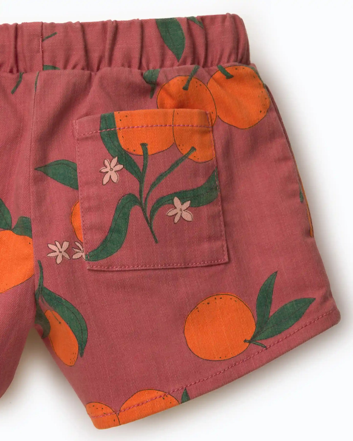 Toddler Girl A-Line Shorts in Clementine Grove Print - Rose