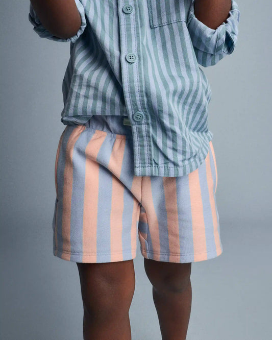 Toddler City Park™ Short in Stripes - Blue/Pink