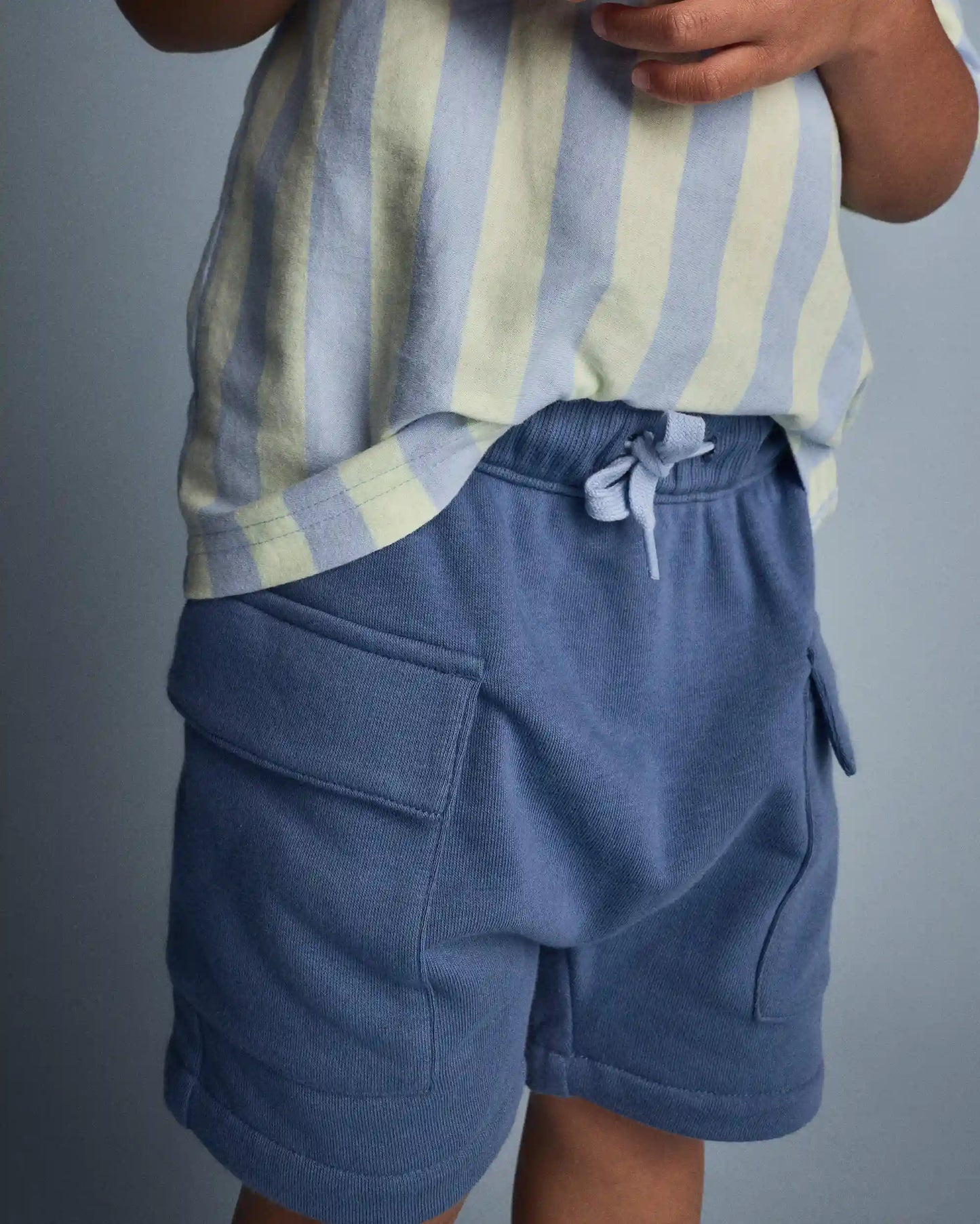 Toddler Boy French Terry Cargo Shorts - Slate Blue