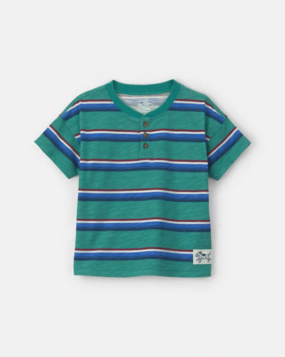 Toddler Boy Striped Henley T-Shirt - Green/Blue