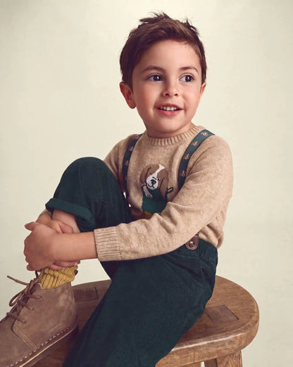 Toddler Boy Dog Sweater - Brown