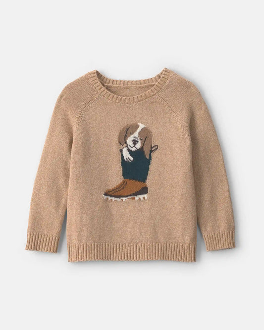 Toddler Boy Dog Sweater - Brown