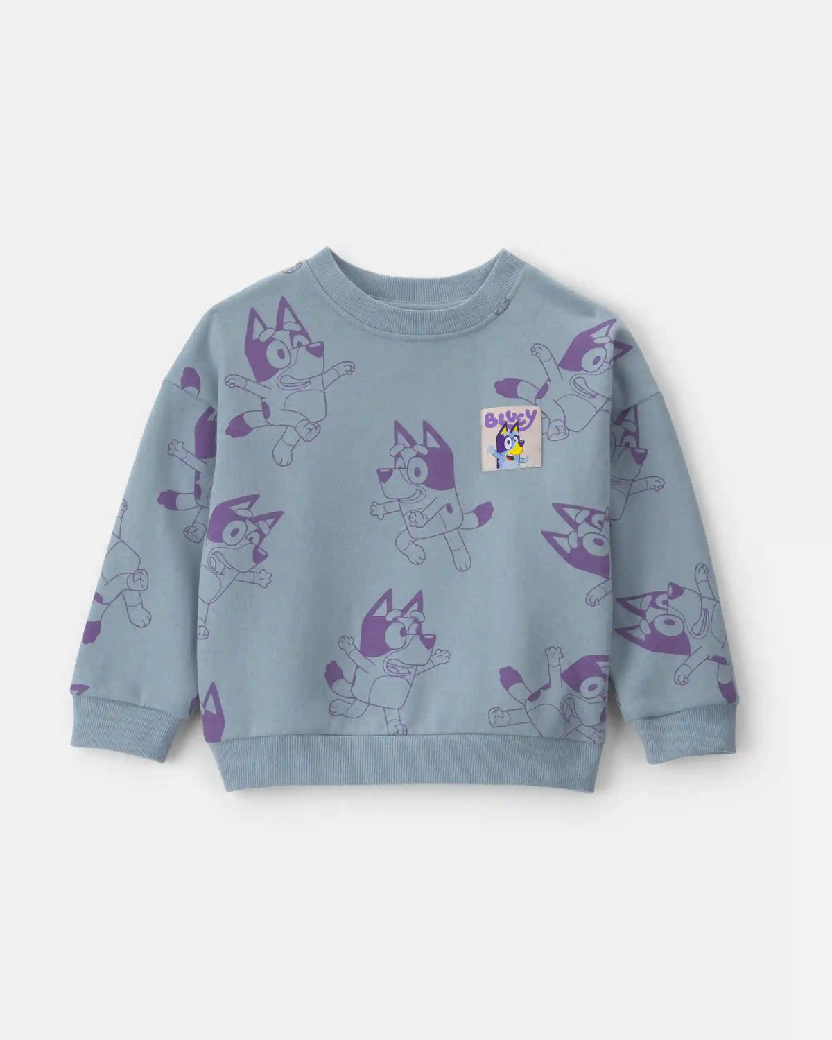 Toddler Girl Bluey™ Fleece Pullover Sweatshirt - Blue