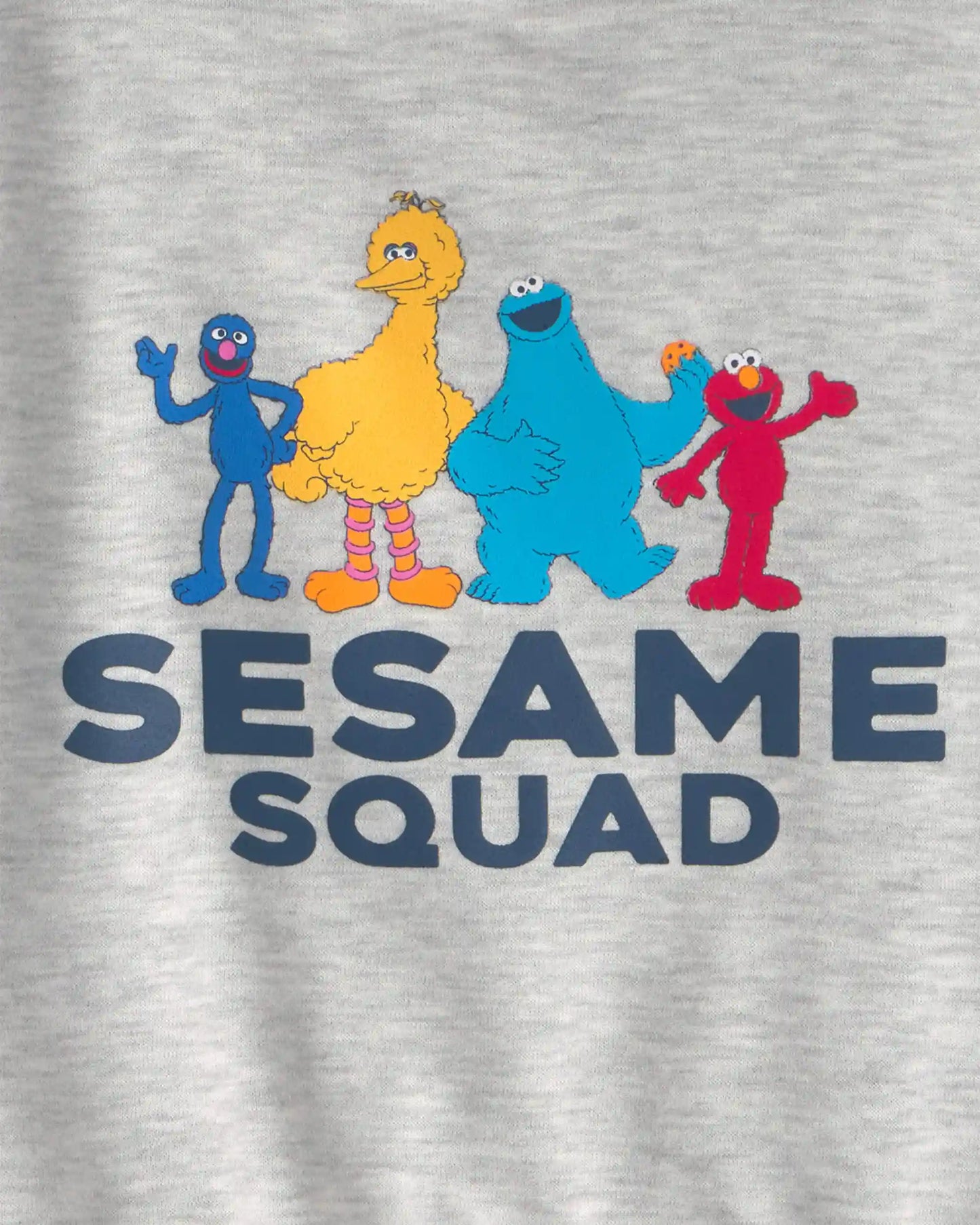 Toddler Boy 2-Piece Sesame Street™ Long-Sleeve Hoodie & Pant Set - Grey
