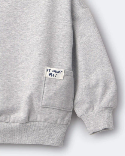 Toddler 'It Wasn't Me!' Otter Sweatshirt™ with Pockets - Heather Grey