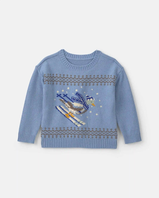 Toddler Boy Duck Skiing Fair Isle Sweater - Blue