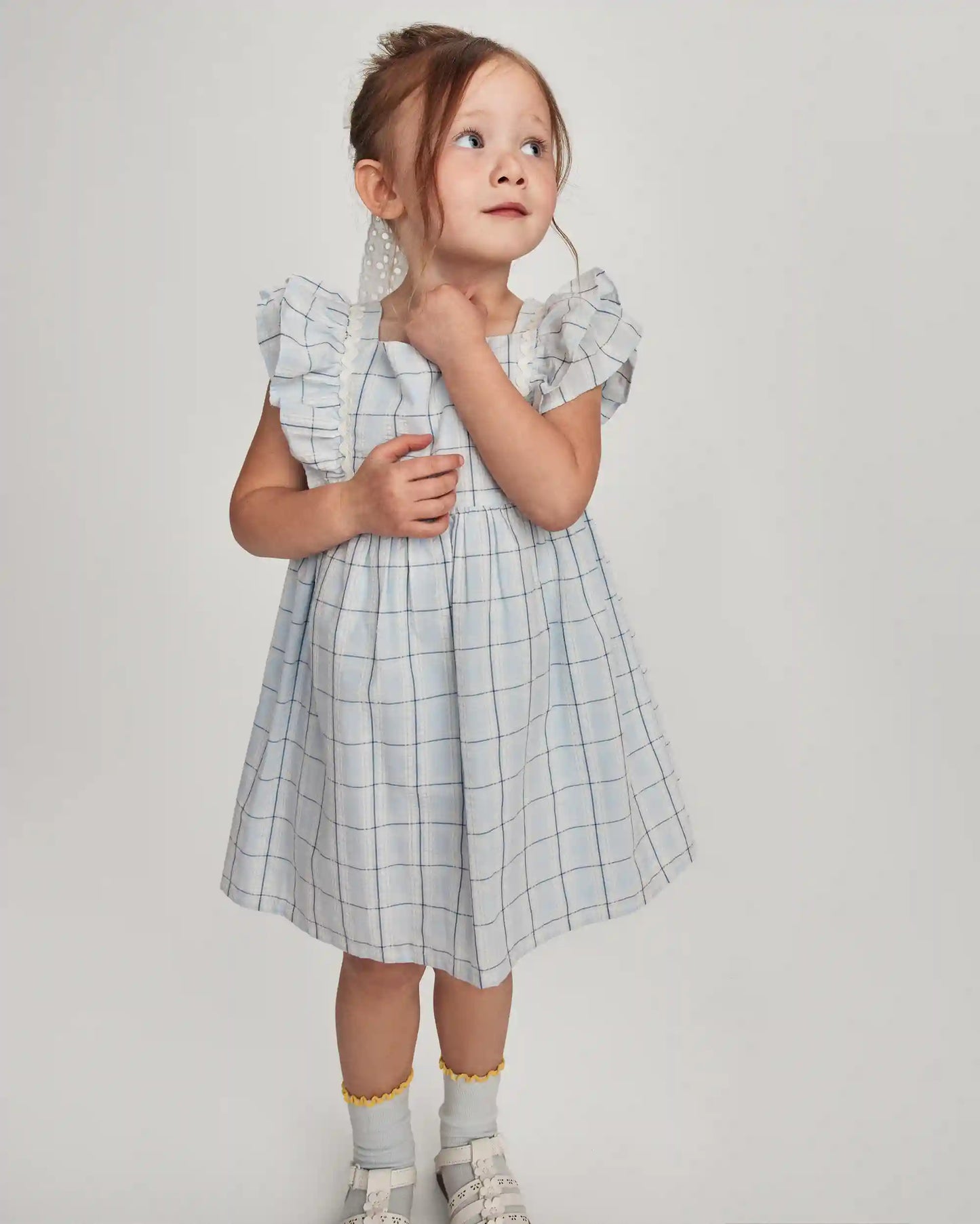 Toddler Girl Plaid Ruffle-Sleeve Dress - Blue/White